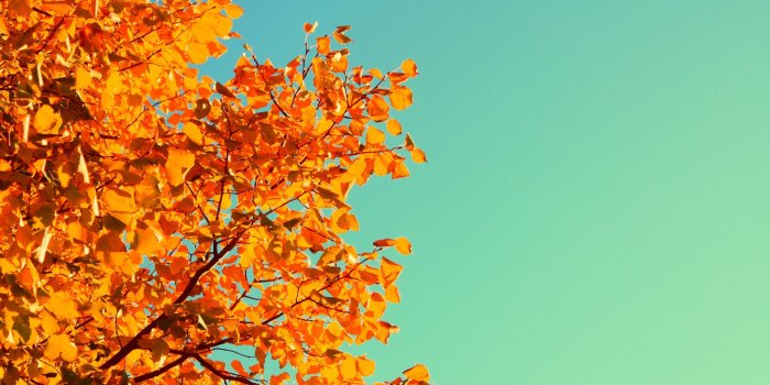 3554x1999 Aesthetic Desktop Wallpaper (104+ images in Collection) Page 1