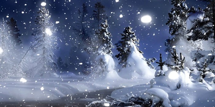 1805x1015 Winter, Night, In, Park, Cool Nature Wallpapers, Amazing Landscape