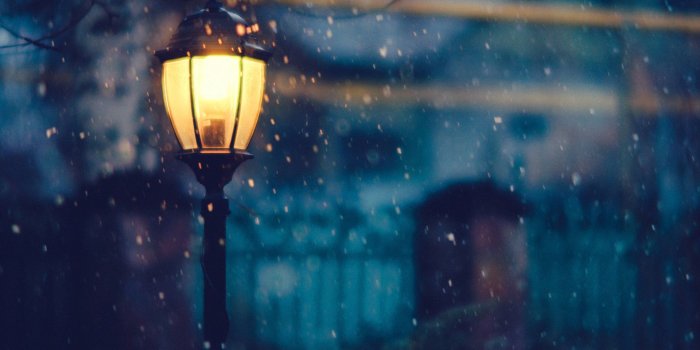 1920x1200 Winter night wallpaper hd free media file - Free HD Wallpapers