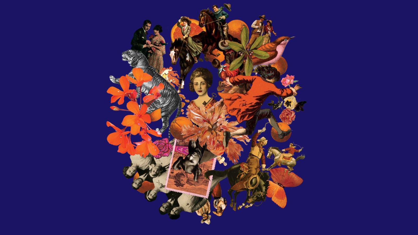 1920x1080 Totally Severe | Prints, Patterns, & Backgrounds » Wallpaper