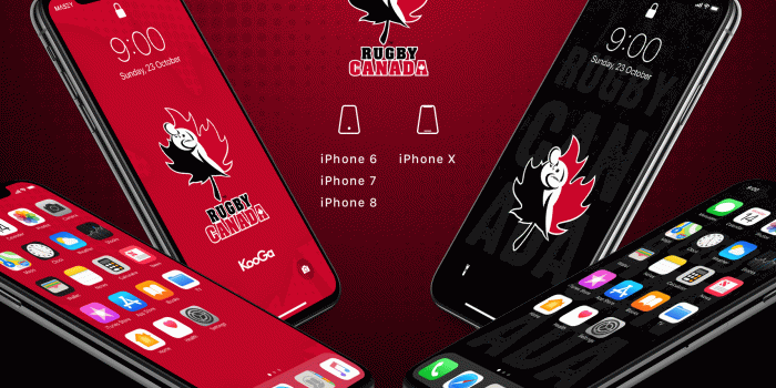 1709x1280 2011 Rugby World Cup iPhone Wallpaper