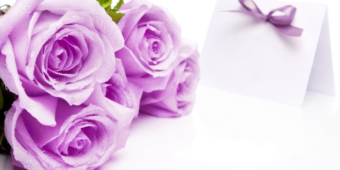 2560x1600 Download rose wallpaper photos Beautiful Rose Flower Wallpaper