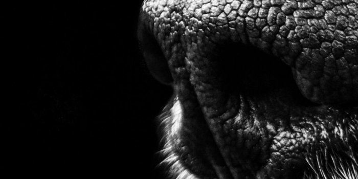 1080x1920 45 Solid Black iPhone Wallpapers - Wallpaperspit