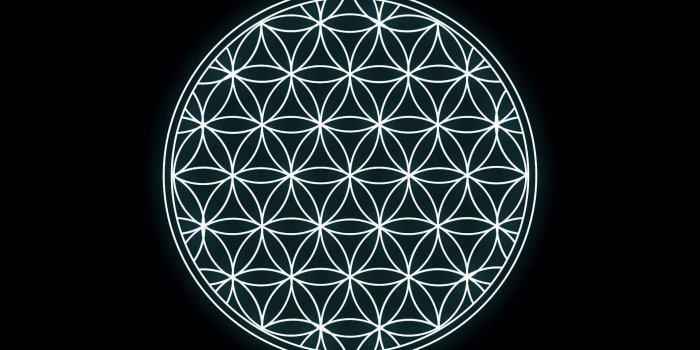 1920x1080 Flower of Life Wallpapers - Top Free Flower of Life Backgrounds