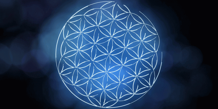 1920x1080 Top 10 Punto Medio Noticias | Flower Of Life Images