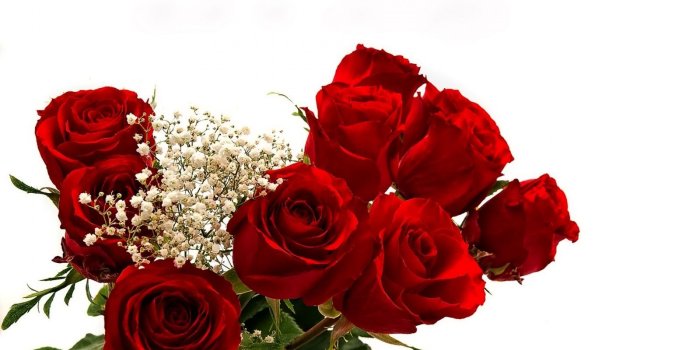 1600x1200 20346 most beautiful rose flowers wallpapers