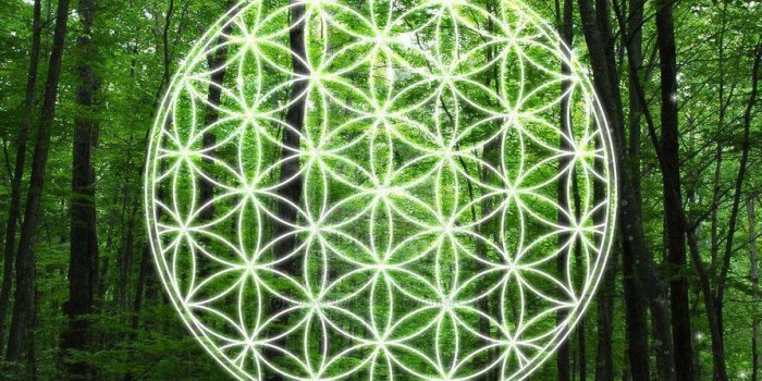 894x894 Flower Of Life Wallpapers