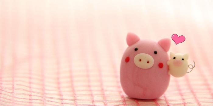 2560x1440 Pig Wallpaper (62+ images)