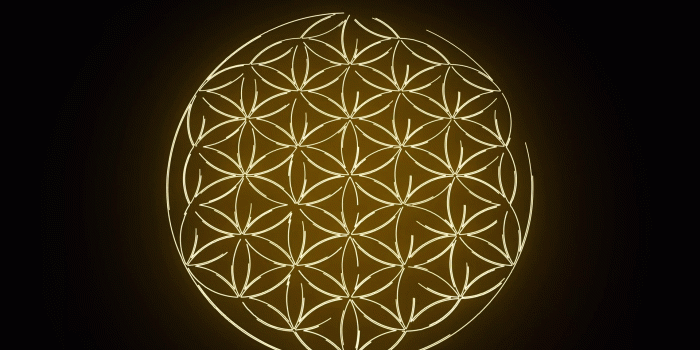 1920x1080 Flower of Life Wallpapers - Top Free Flower of Life Backgrounds