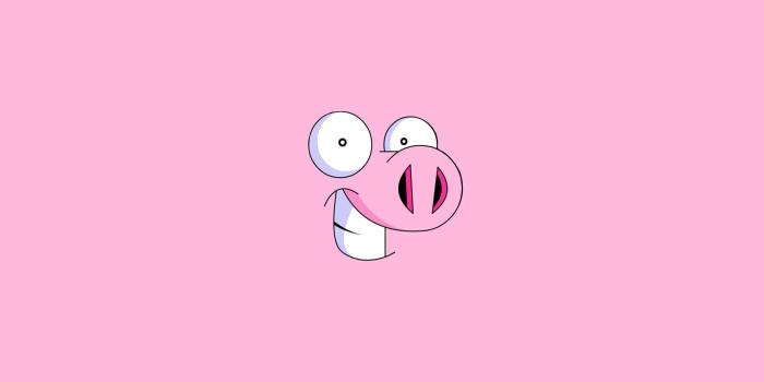 1920x1080 Pig Wallpaper 24428 1680x1050px