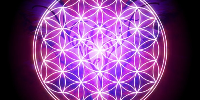 2000x2000 Flower Of Life Iphone 5 Wallpaper - Flowers Healthy