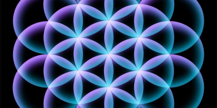 894x894 Sacred Geometry Flower Of Life Wallpaper - LS