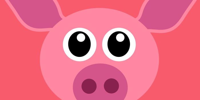 1080x1920 Piggy Wallpaper ·① WallpaperTag