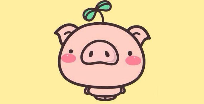 684x1280 Pig Wallpapers - Top Free Pig Backgrounds - WallpaperAccess