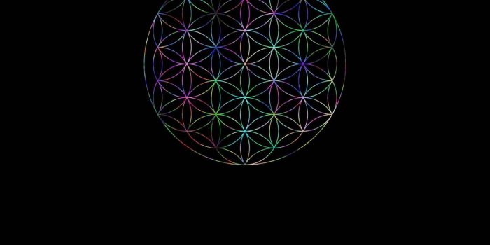 1440x1280 Flower of Life N4 Wallpaper by mmmatus - 3c - Free on ZEDGE™