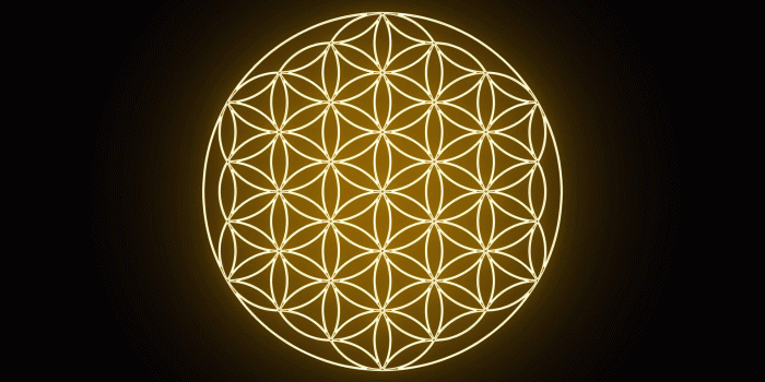 1920x1080 The Flower of Life Forming Sacred Geometry Symbol Stock Video Footage -  Storyblocks Video