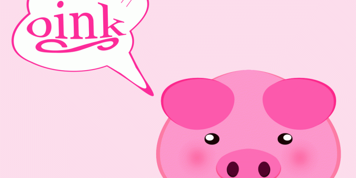 1024x768 Baby Pig Wallpaper Group (44+), Download for free