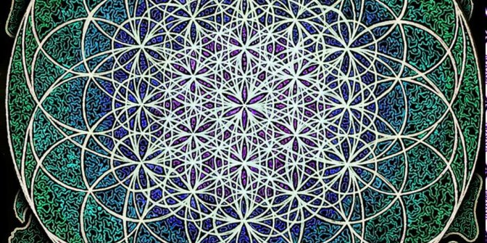 1002x1525 Flower of Life Apparel - Limited Edition in 2019 | wallpaper