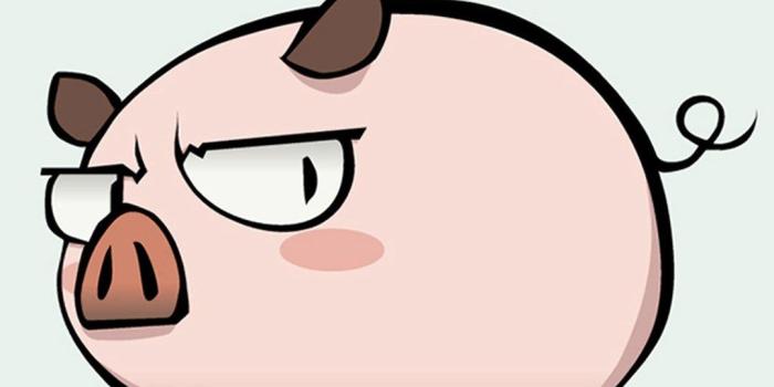 1080x1920 Cute Pig Wallpaper Mac Hd Cute Pig Wallpaper WallpaperTag