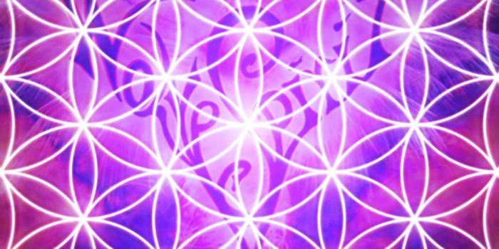 1080x1920 Flower Of Life Wallpaper Iphone - Flowers Healthy