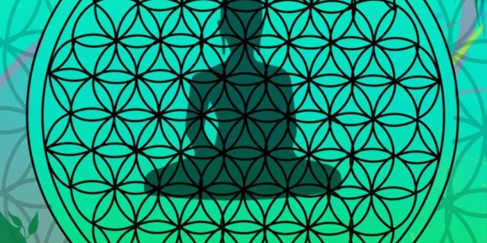 1368x855 3d Flower Of Life Wallpaper | Gardening: Flower and Vegetables