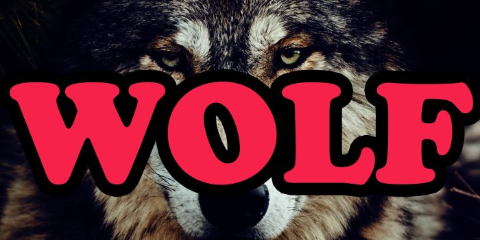 2500x1600 1041456 2500x1600 Wallpaper for Desktop: odd future | Music