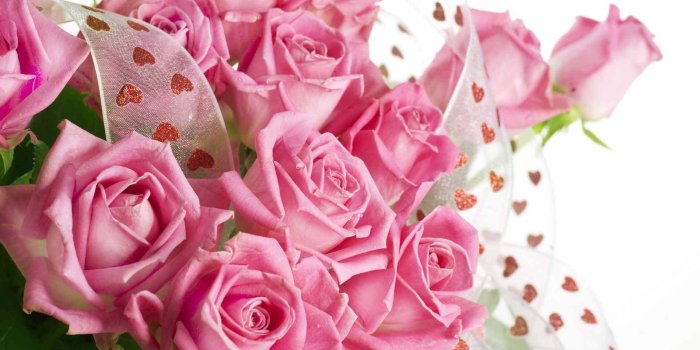 1920x1080 Pink Roses Bouquet HD Wallpaper, Background Images