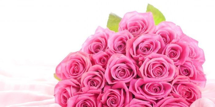 1600x1200 Desktop Of Pink Roses Hd Flower Wallpaper Cool Rose - Beautiful Pink