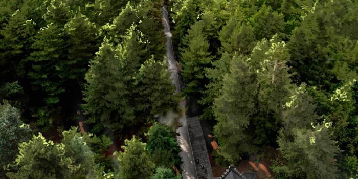 913x1750 cafa0026 Slytherin Wallpaper Wallpaper of Slytherin Fondo de