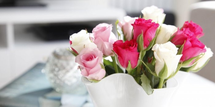 1920x1200 Pink and White Roses HD desktop wallpaper : Widescreen : High