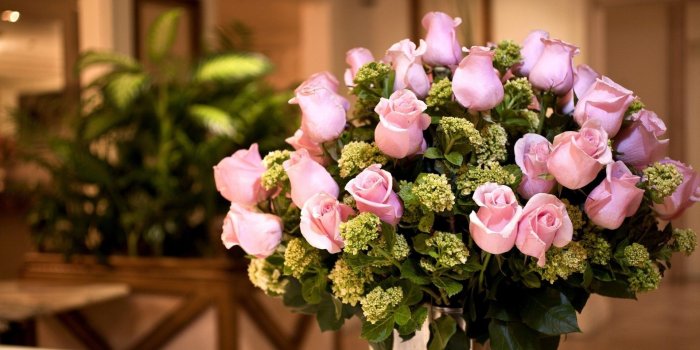 1920x1080 Pink Roses Flowers Pictures HD Wallpaper Desktop Wallpapers High