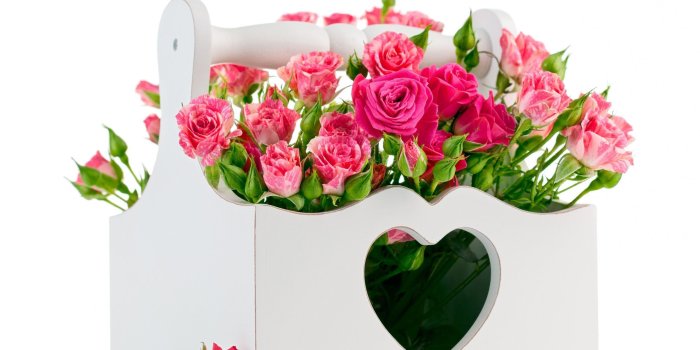 2560x1600 Red Rose Heart Wallpapers (58+ background pictures)