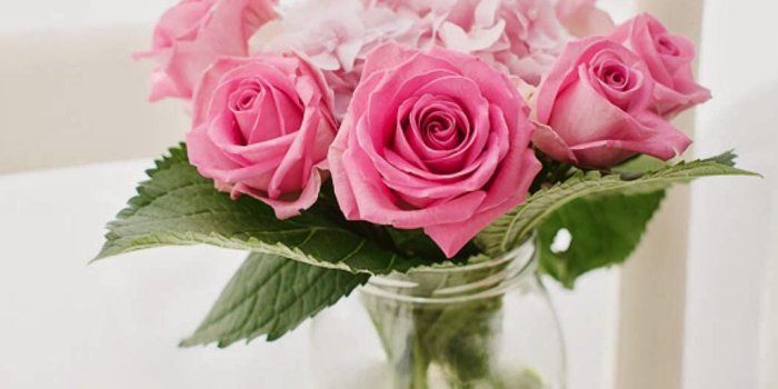 1028x1920 Pink Roses Bouquet Vase iPhone 6 Plus HD Wallpaper HD - Free