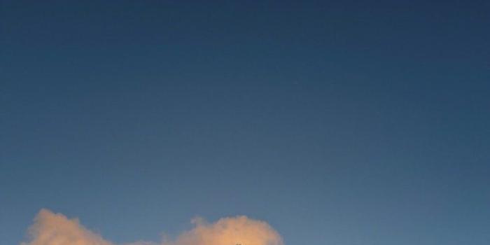 980x1470 31 stunning real-world photos that might be your next phone