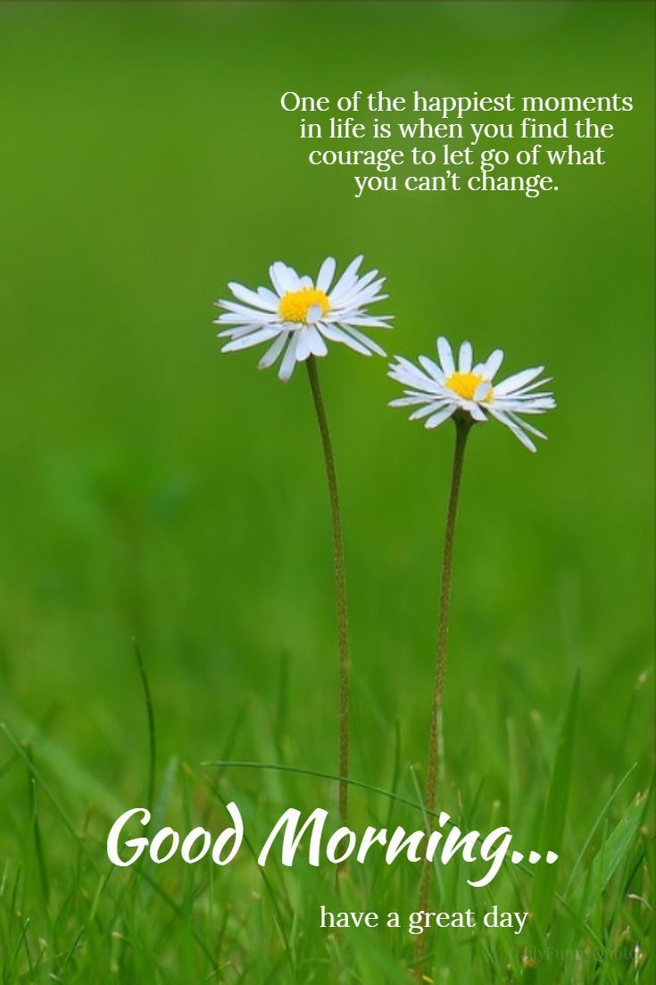 735x1103 10+ Good Morning Quotes and Wishes with Beautiful Images