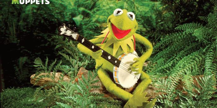 1920x1200 green, Frogs, Kermit, The, Frog, Banjo, Jim, Henson 4K HD wallpaper