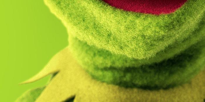 1440x3040 Kermit the Frog - S10 Cutout Wallpaper, Enjoy! 