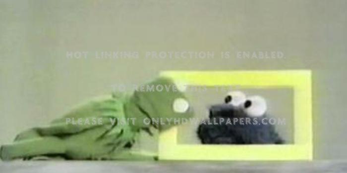 1440x900 Cookie monster kermit The