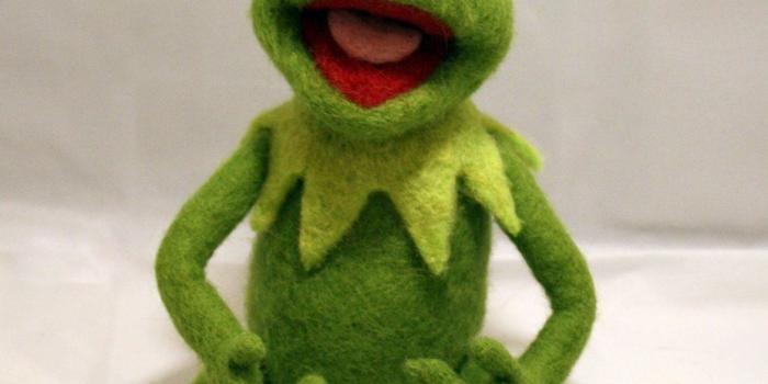 1172x1500 41+] Kermit the Frog Wallpaper on WallpaperSafari