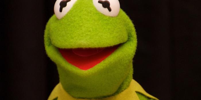 2402x1480 Kermit Wallpaper - Kermit The Frog Black Background, Hd Wallpapers