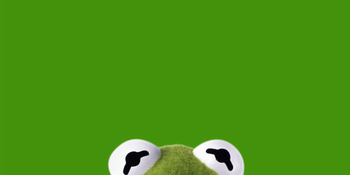 1280x1280 Kermit The Frog Wallpapers