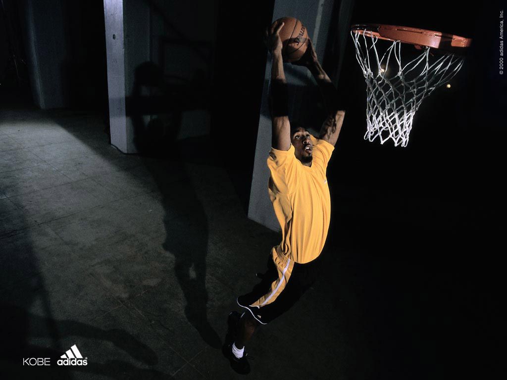 1024x768 Adidas basketball wallpaper Gallery