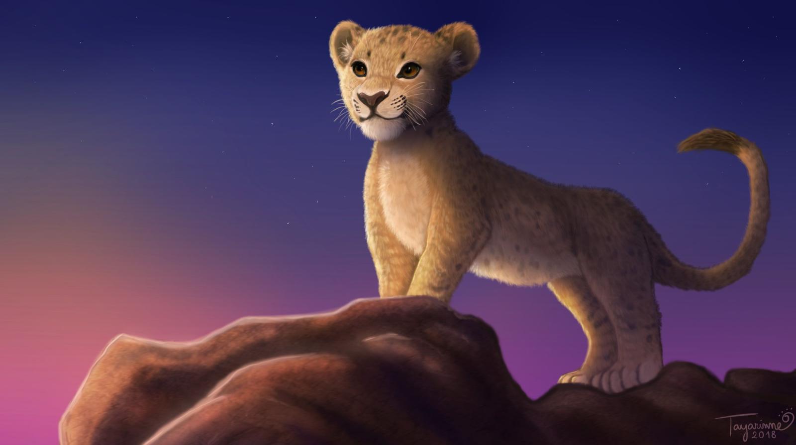 3000x1680 Simba 1080P, 2K, 4K, 5K HD wallpapers free download | Wallpaper Flare