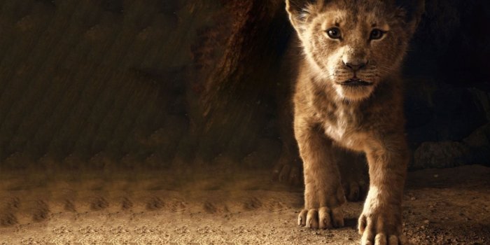 3840x2160 The Lion King Simba 2019 4k, HD Movies, 4k Wallpapers, Images