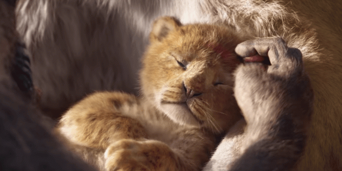 1280x720 Lion King 2019 Wallpapers