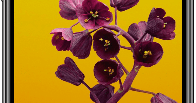 660x1316 iPad & iPhone Wallpaper: How to Change Your Home & Lock Screen