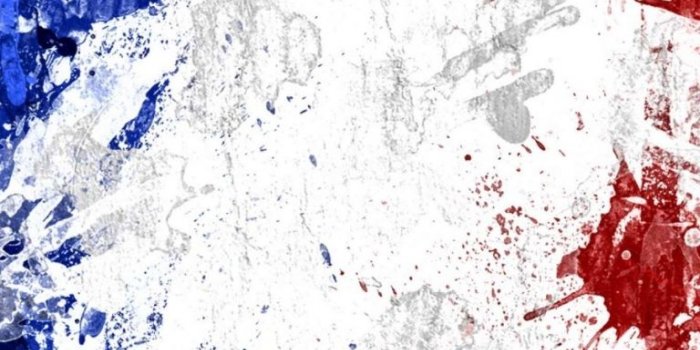768x1024 Free download French Flag HD Wallpapers wallpapers55com Best