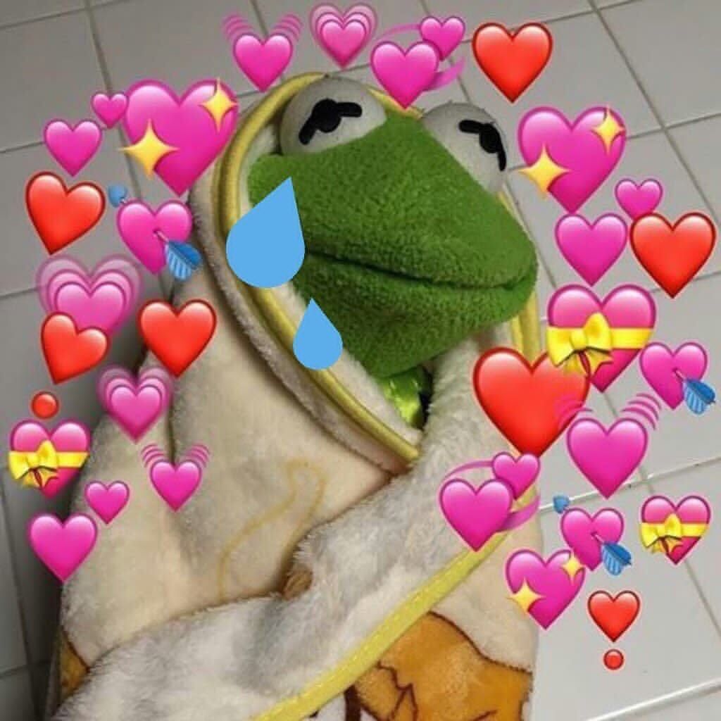 1024x1024 kermit the frog love meme - Google Search | Kermit the frog love