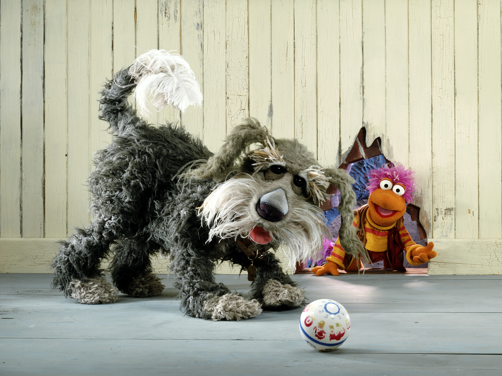 1600x1200 Think You Know The Muppet Dogs? You Have No Idea! - BarkPost