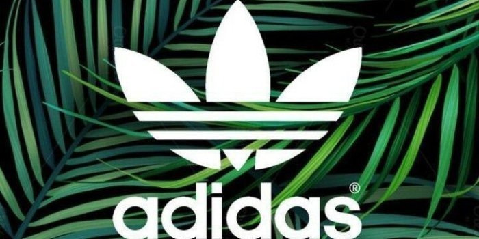 720x1280 adidas logos wallpaper - Image by Debolina Das ✓